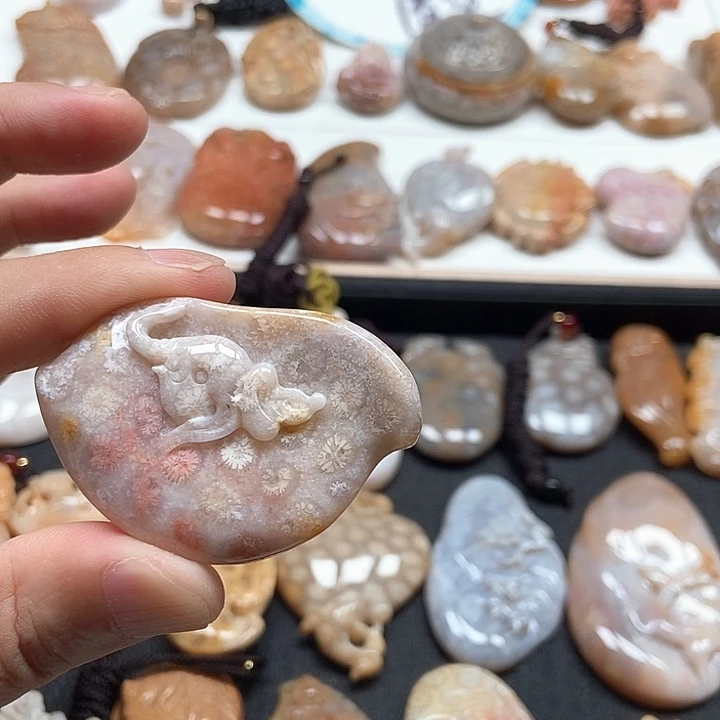硅化珊瑚（珊瑚玉）未镶嵌颈饰