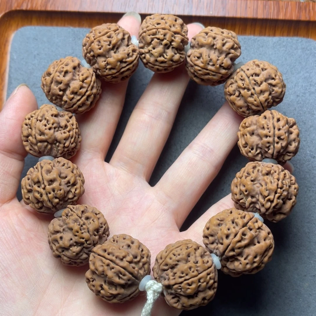 菩提1号金刚菩提梅花双龙24