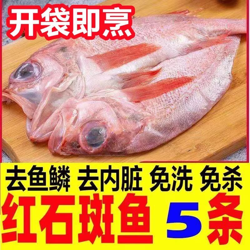 【5条红石斑】石斑鱼开背免洗红石斑深海石斑鱼肉质紧实Q弹