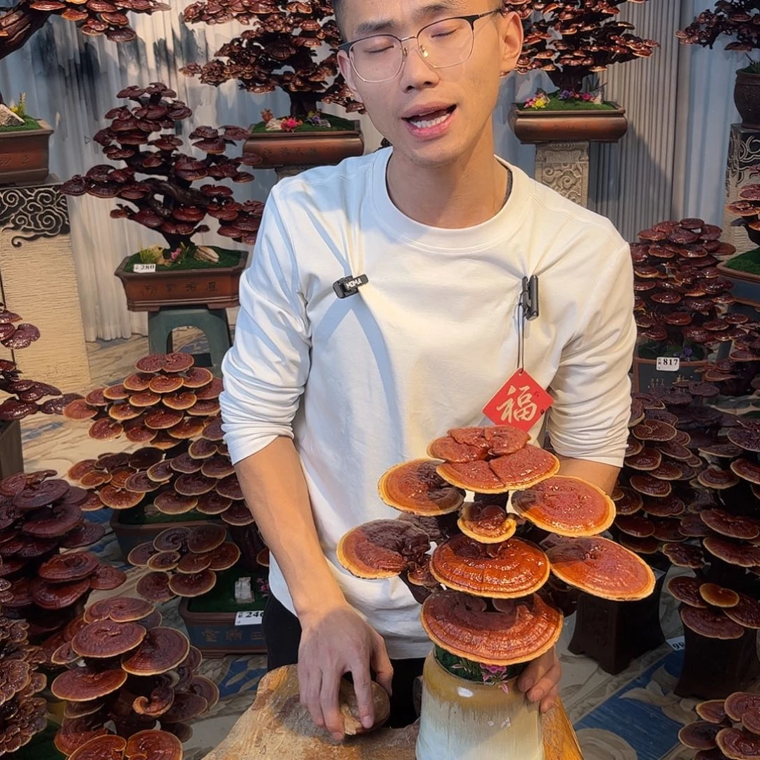 无花朵88888888888