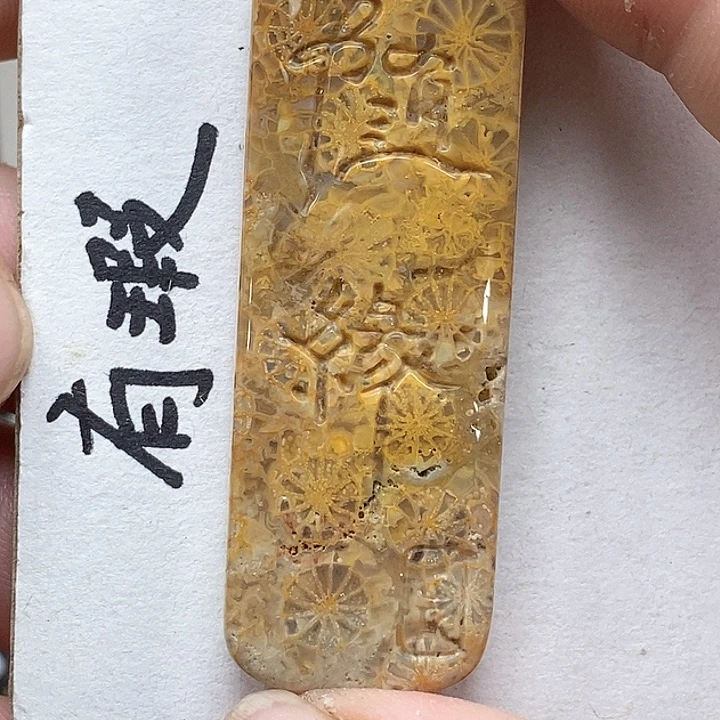 颈饰未镶嵌硅化珊瑚（珊瑚玉）
