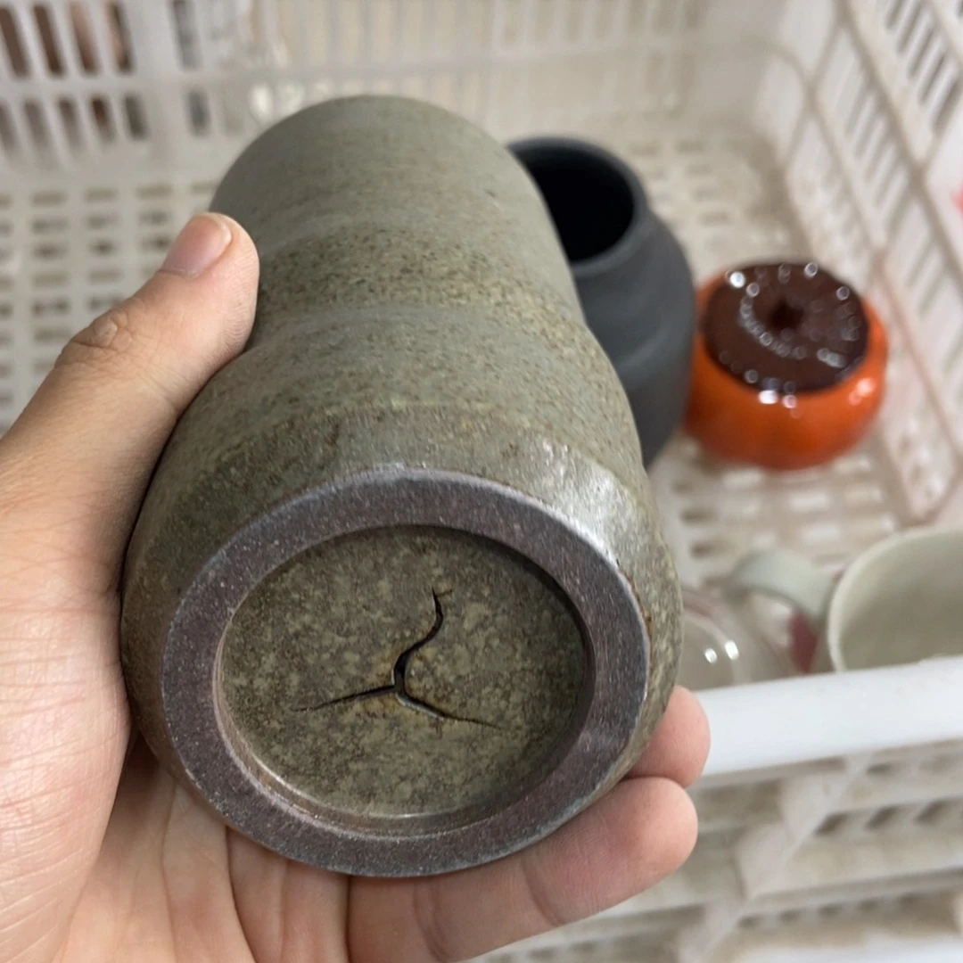 杯直播链接直播链接