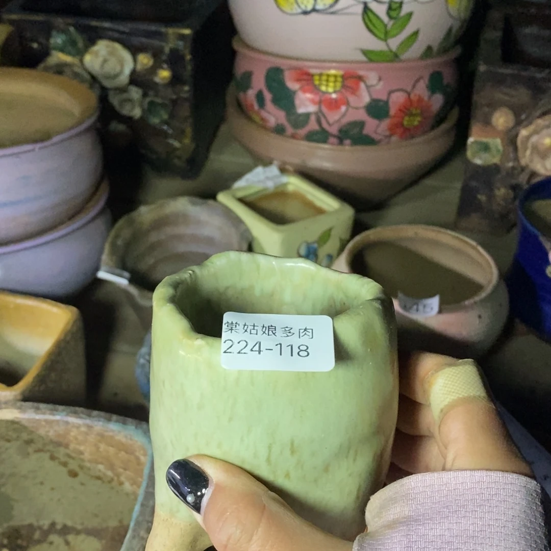 红陶歪**歪118号一个