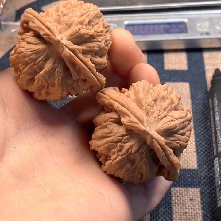 吊坠文玩核桃全品白狮子
