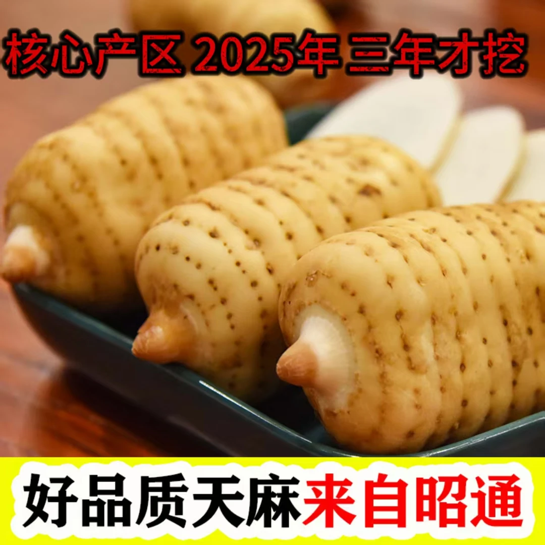 云南昭通山货天麻小草坝防野生种植新鲜山货天麻可煲汤