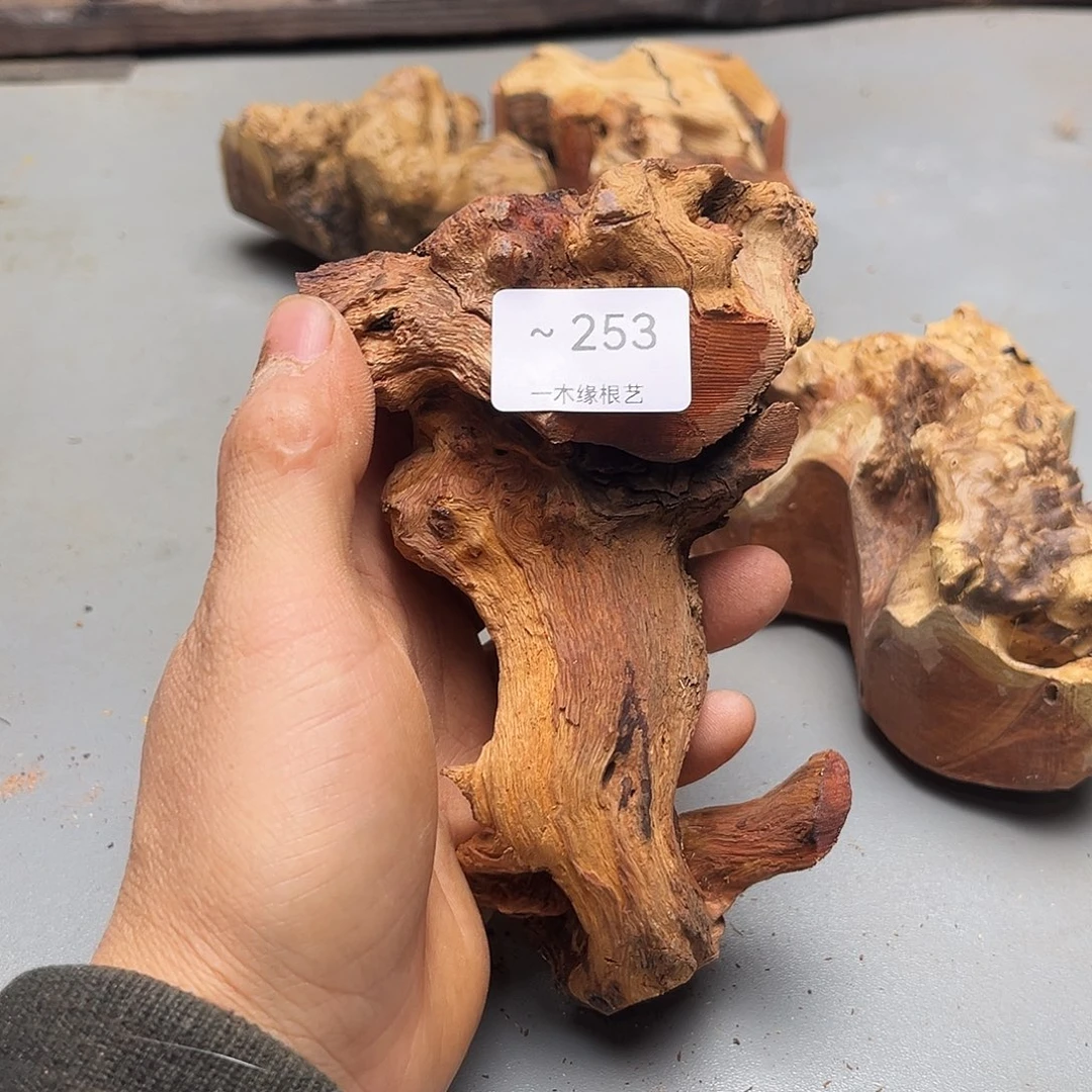 用***9无花朵            253