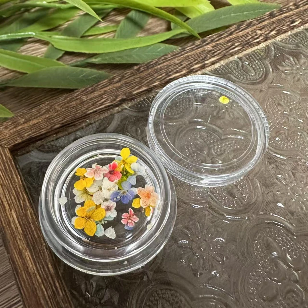 【1盒20朵】混色油画彩色五瓣花干花糖果色手工美甲工具饰品