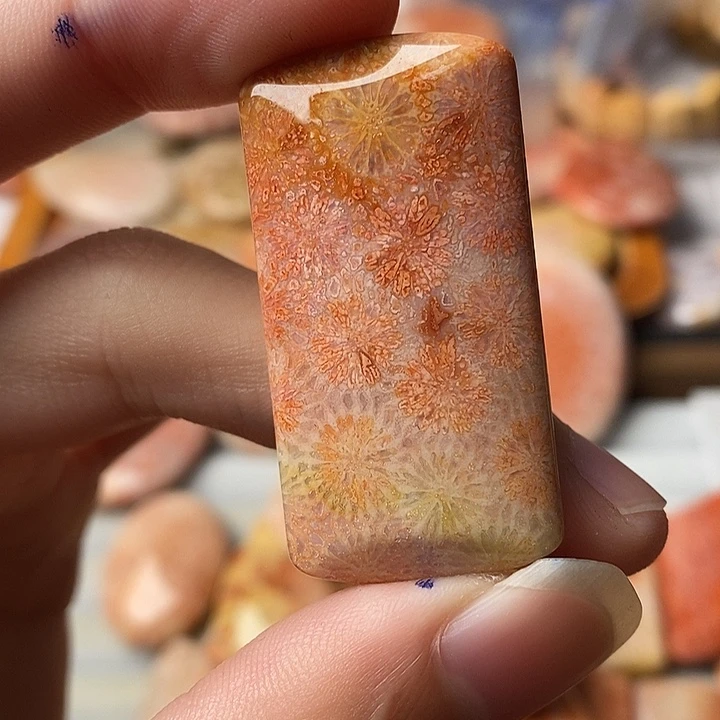 宝***碗硅化珊瑚未镶嵌颈饰