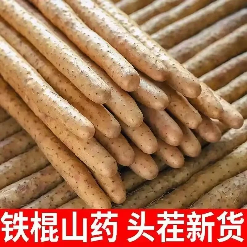 铁棍山药营养粉糯香甜新鲜现挖原产地直发5斤垆土山药
