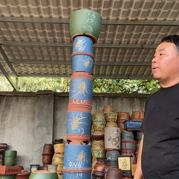 紫砂花盆盆栽花卉苗木种植