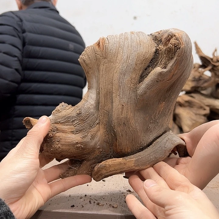 柏木大*悠清乾隆年间的一种