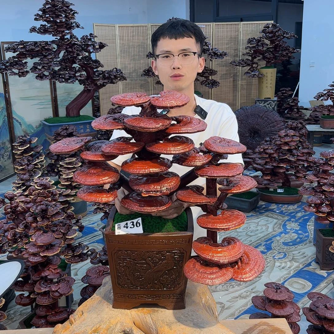 88888888888888888888888