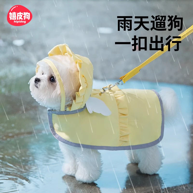 [达人]糖果色天使狗狗雨衣雨天外出防雨泰迪小型幼犬遛狗雨衣0184