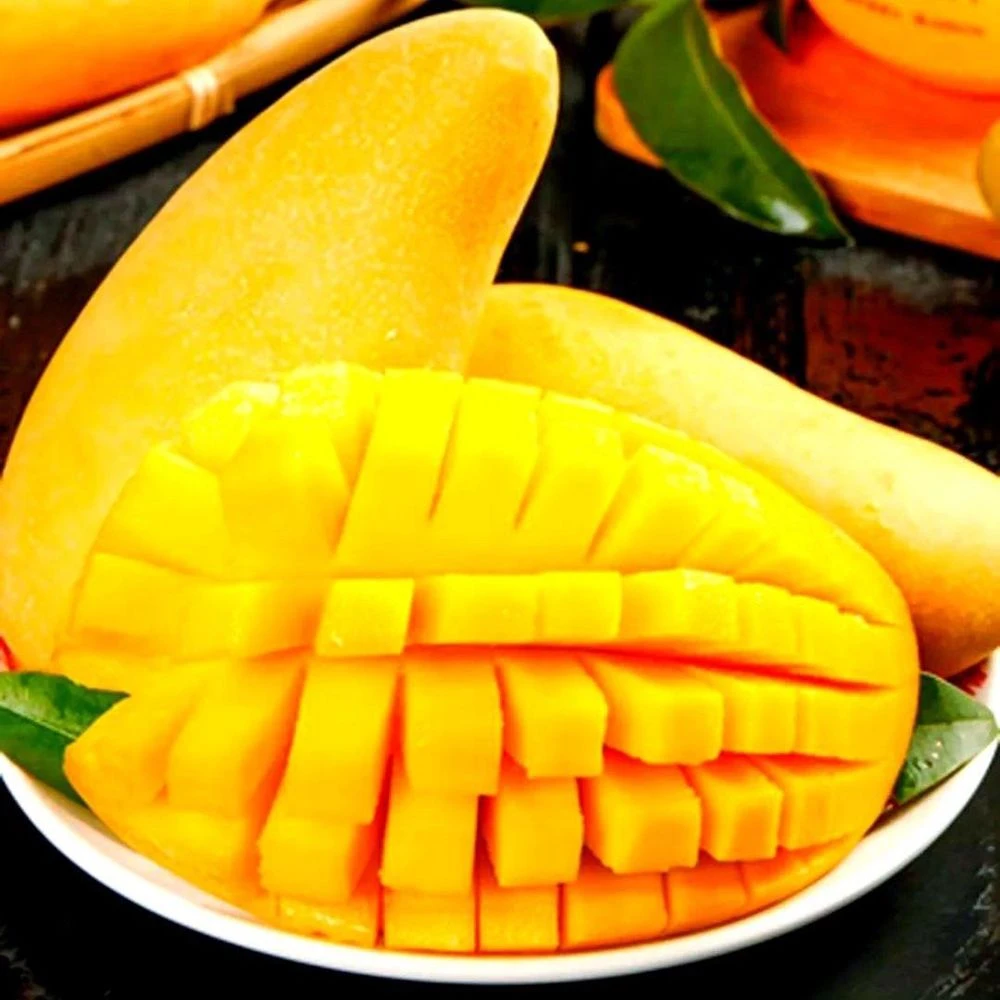【果切】金煌芒果2个【整果约1.6斤】