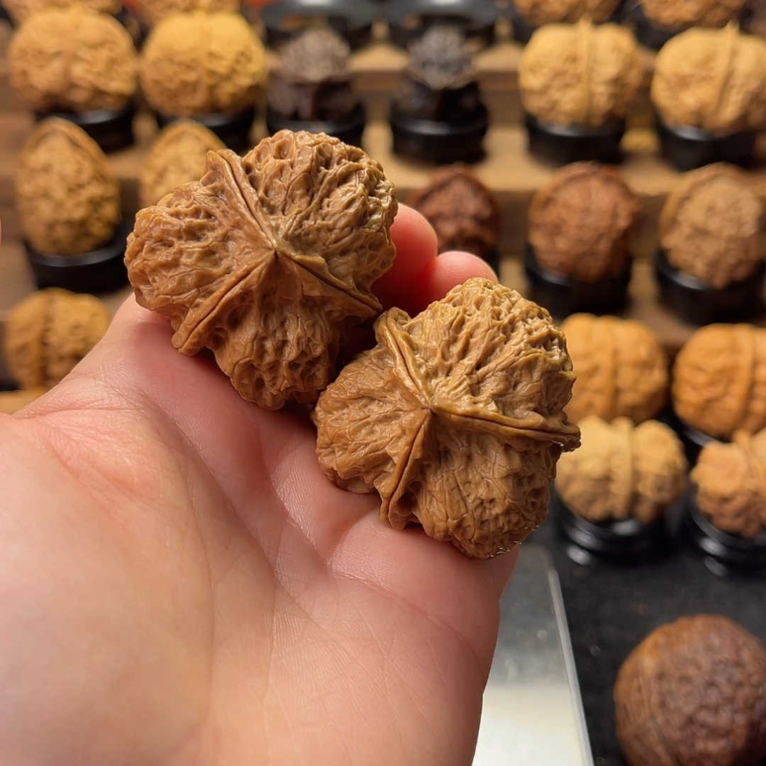 文玩核桃把件L***顽龙纹三棱