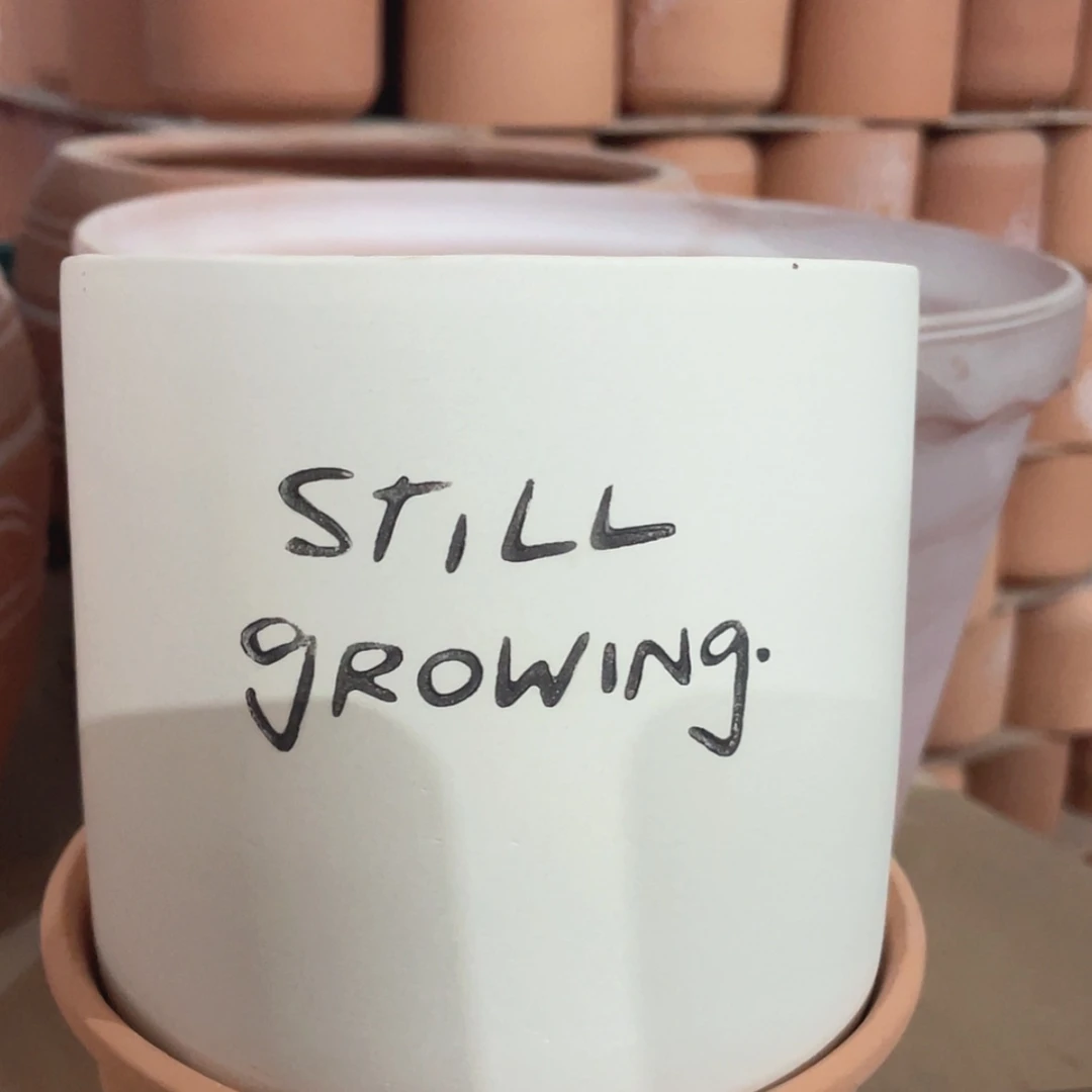 【闪购商品】红陶如图13-13无孔