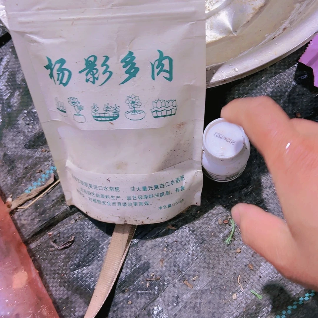 【闪购商品】营养水溶分杀菌