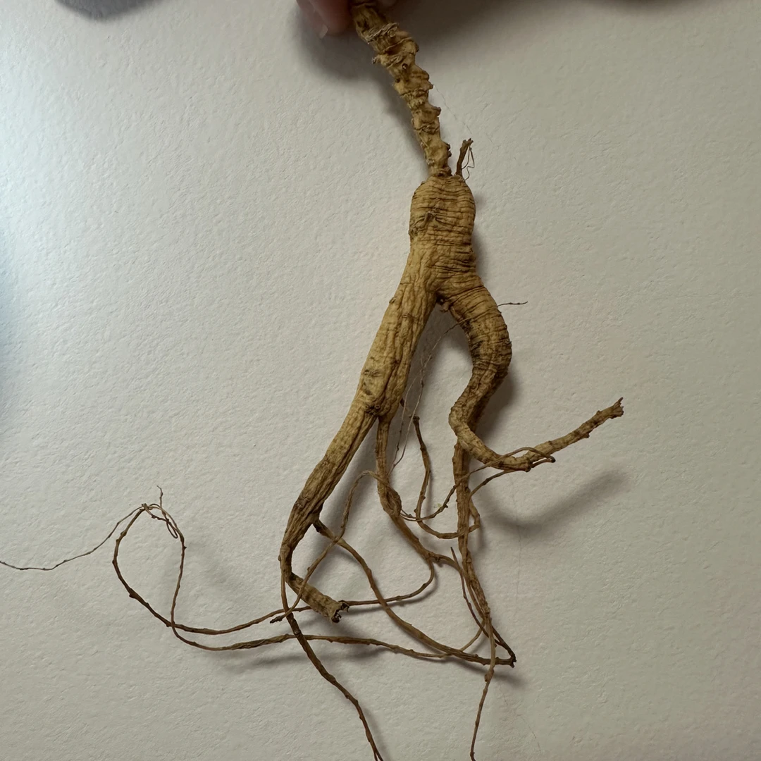 无科技狠活自然风阴干林下参干参可泡酒自用送人东北特产