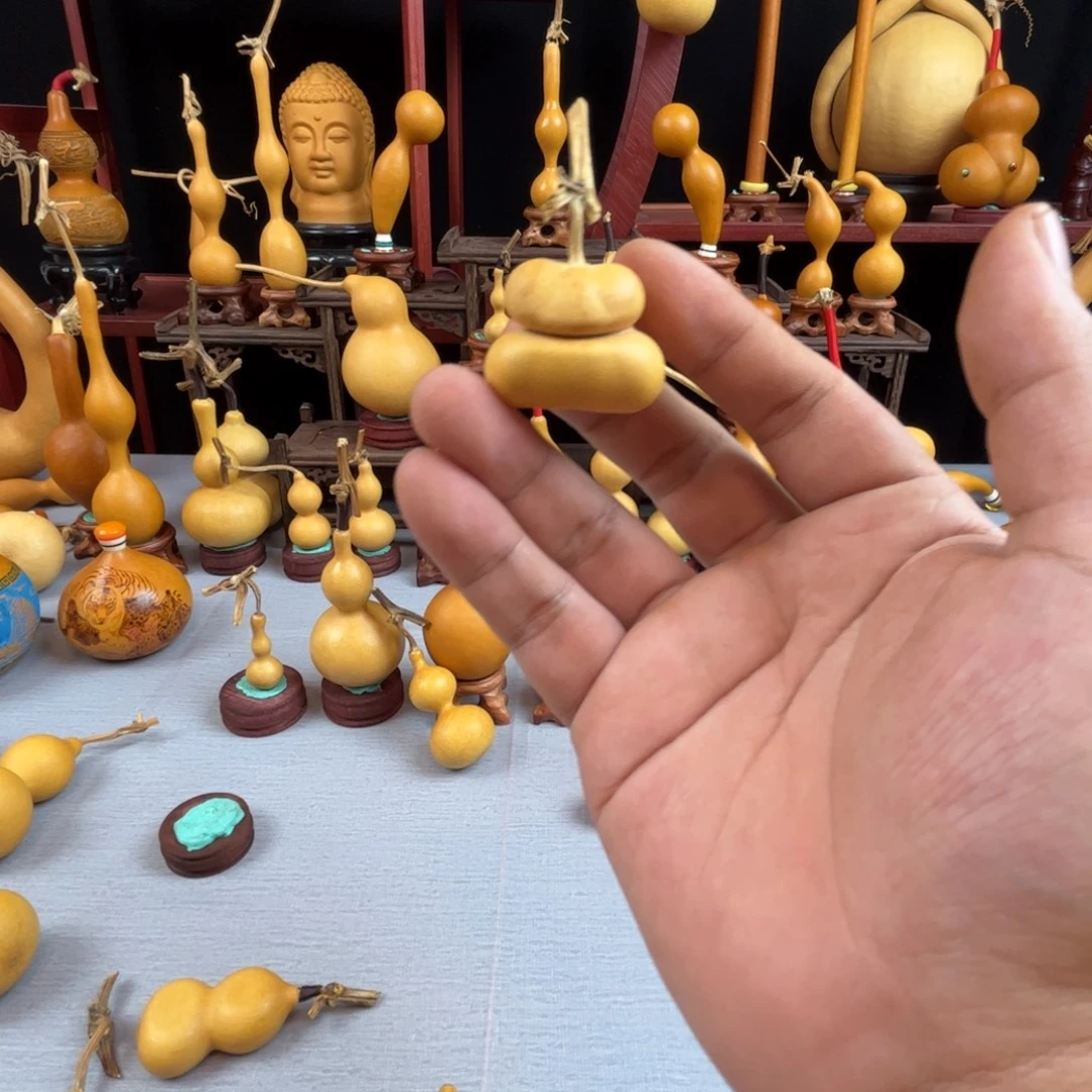 Y***'藤木我的小可爱，一点也不像个女孩