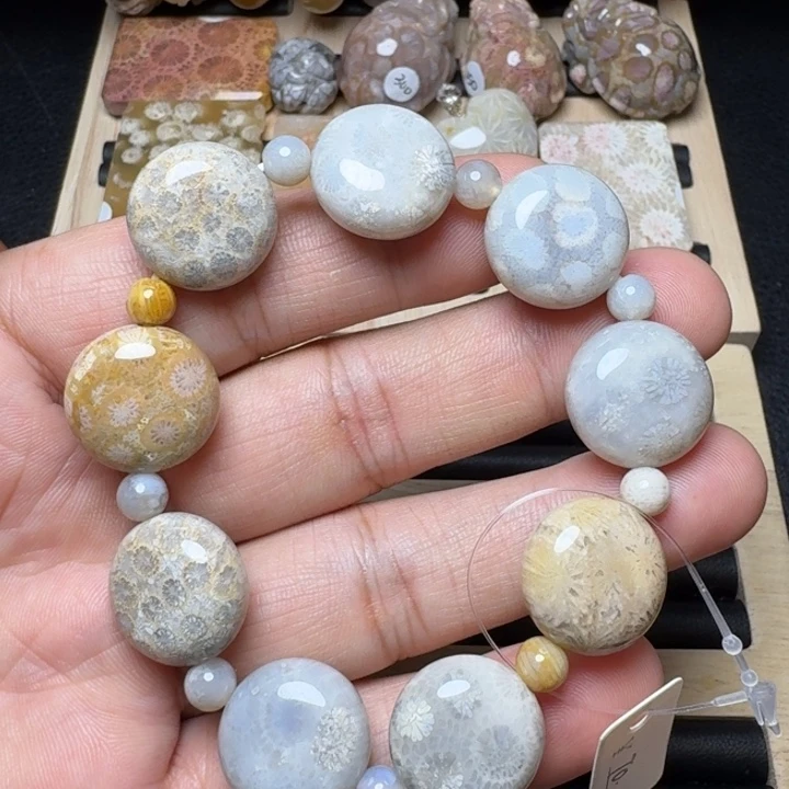 硅化珊瑚（珊瑚玉）未镶嵌纯天然色有机玉石保真色