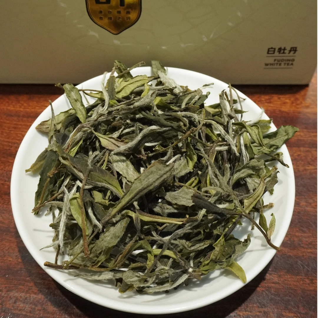 2023年花香荒野白牡丹正宗福鼎管阳高山白茶花香水甜
