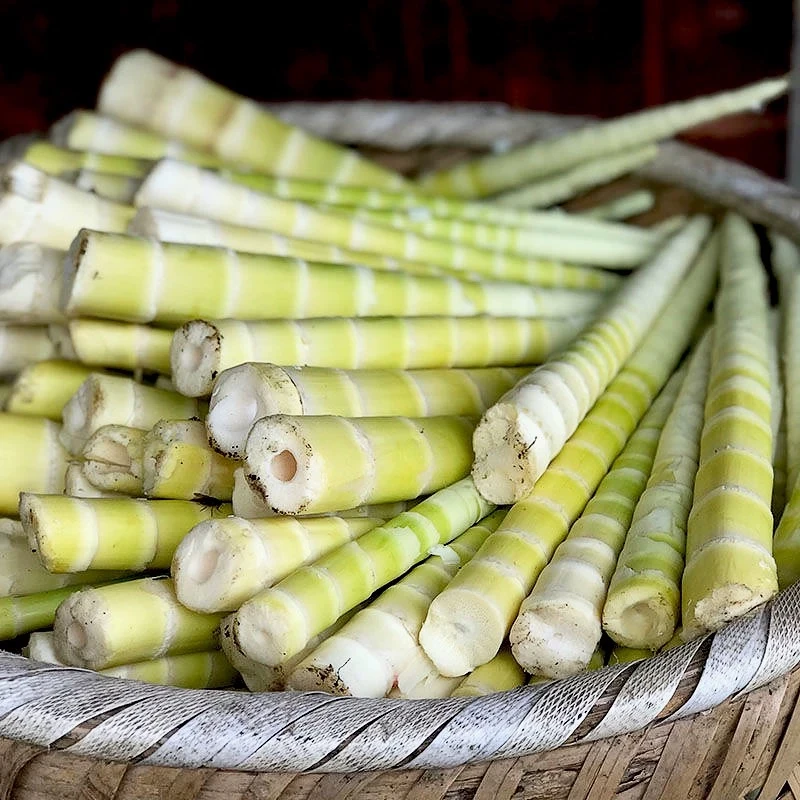 【小院山货】纯野生小笋小嫩笋新鲜剥好煮熟抽真空发货