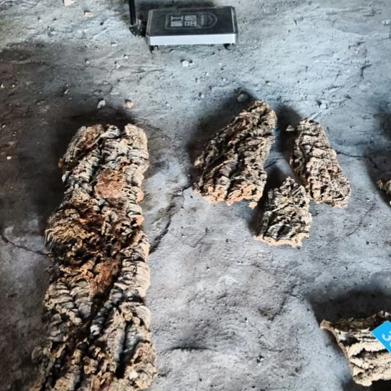 完全开放顺顺利利，平平安安