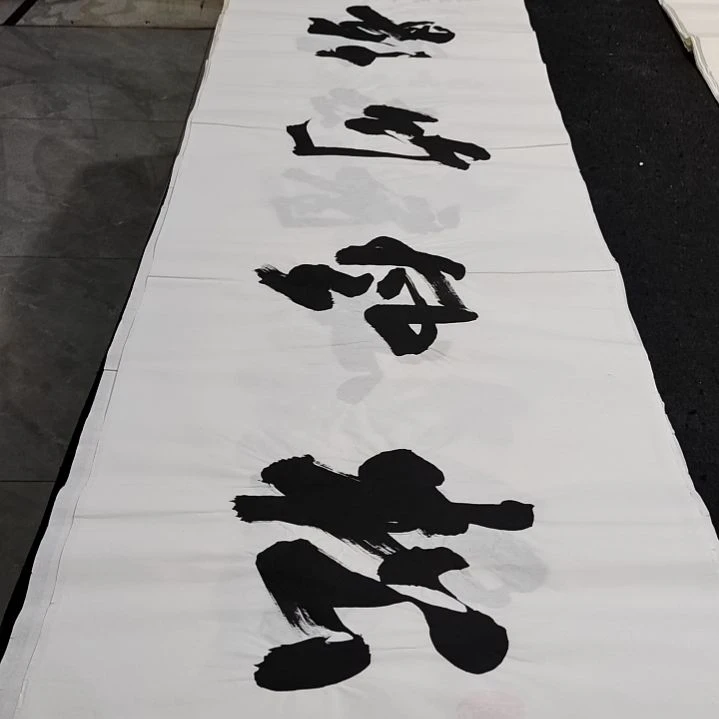 翰墨申国栋老师作品