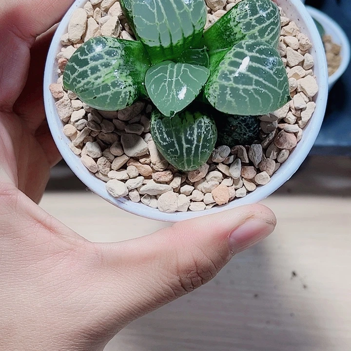 特价处理水晶康平