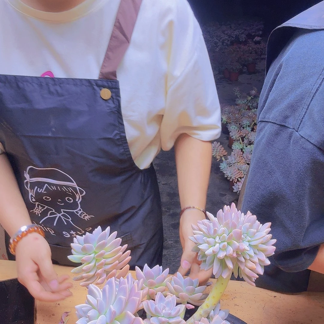 但是锐化一物一拍所见即所得，图片为准