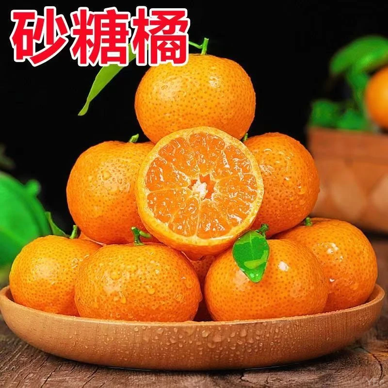 正宗广西砂糖橘新鲜现摘香甜橘子多汁产地直发包邮到家