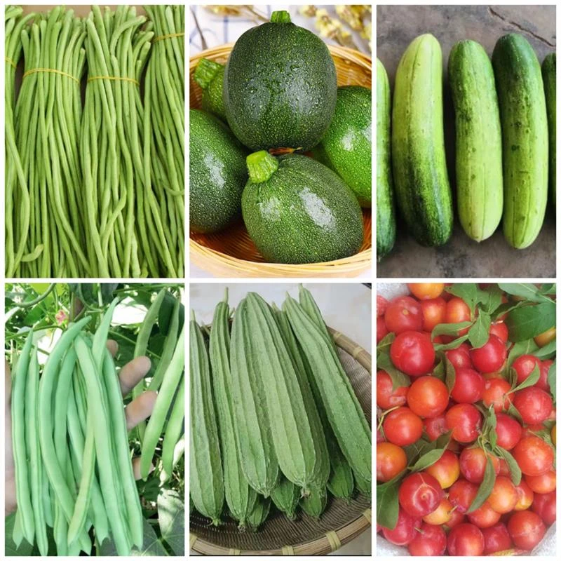 广西巴马农家各种瓜果蔬菜土特产   赶集链接