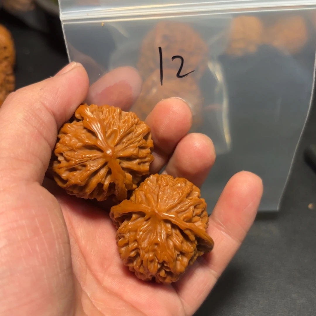 核桃手串/手链苹果元狮子头