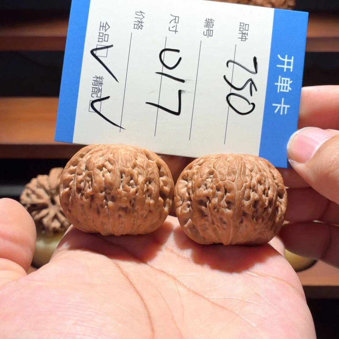 全品无修 40+铁锤毕业对