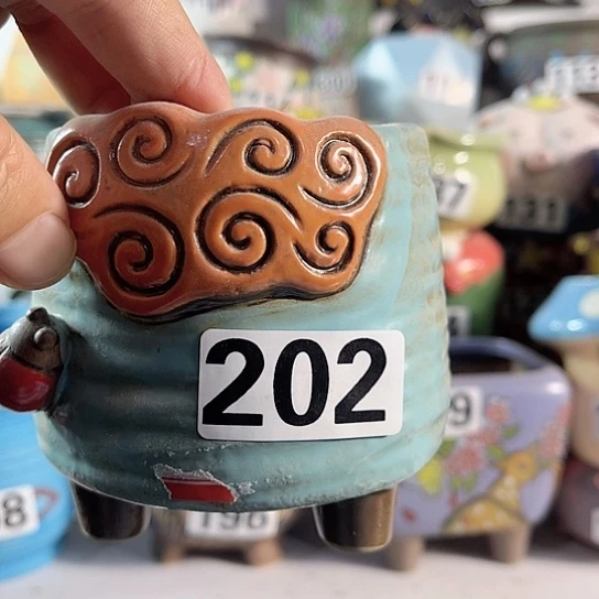 红陶多肉植物花盆