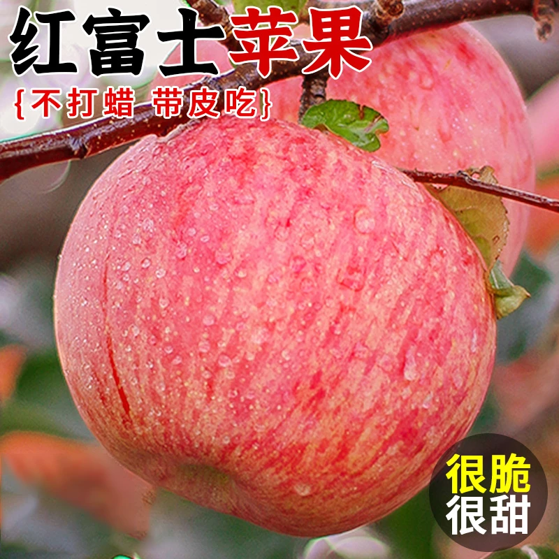 陕西红富士苹果新鲜应当季水果整箱山东栖霞脆甜冰糖心丑平果包邮
