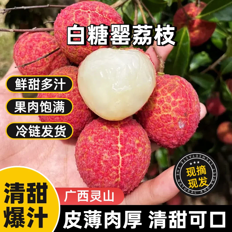 荔枝灵山荔枝白糖罂广西灵山荔枝新鲜水果广西荔枝广西水果荔枝