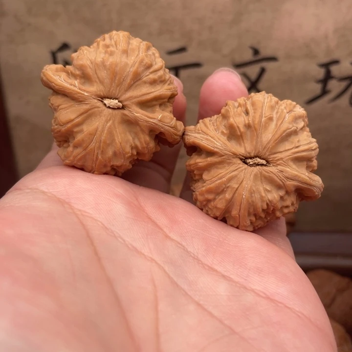 独***精把件文玩核桃39白狮子