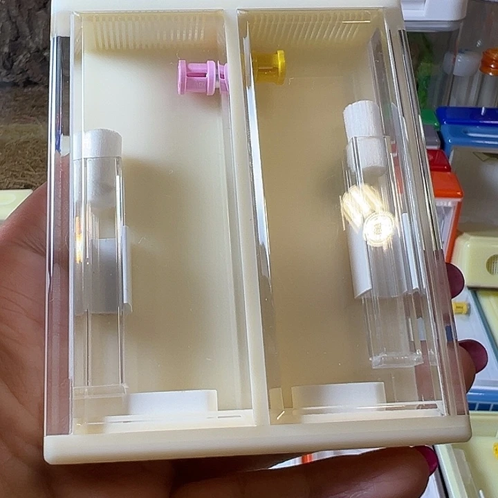 蟋蟀哈哈哈哈哈哈哈哈哈哈哈