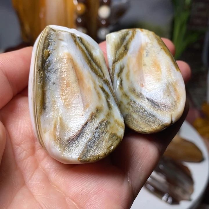 石材家居摆件硅化木