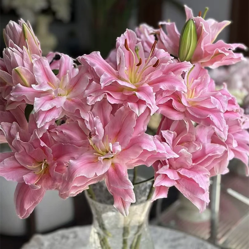 尤尼格【粉色系重瓣百合】【零度以下不拍保温棉不售后】