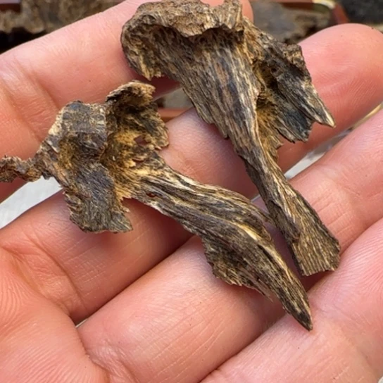 摆件沉香琼中野生包头2.6