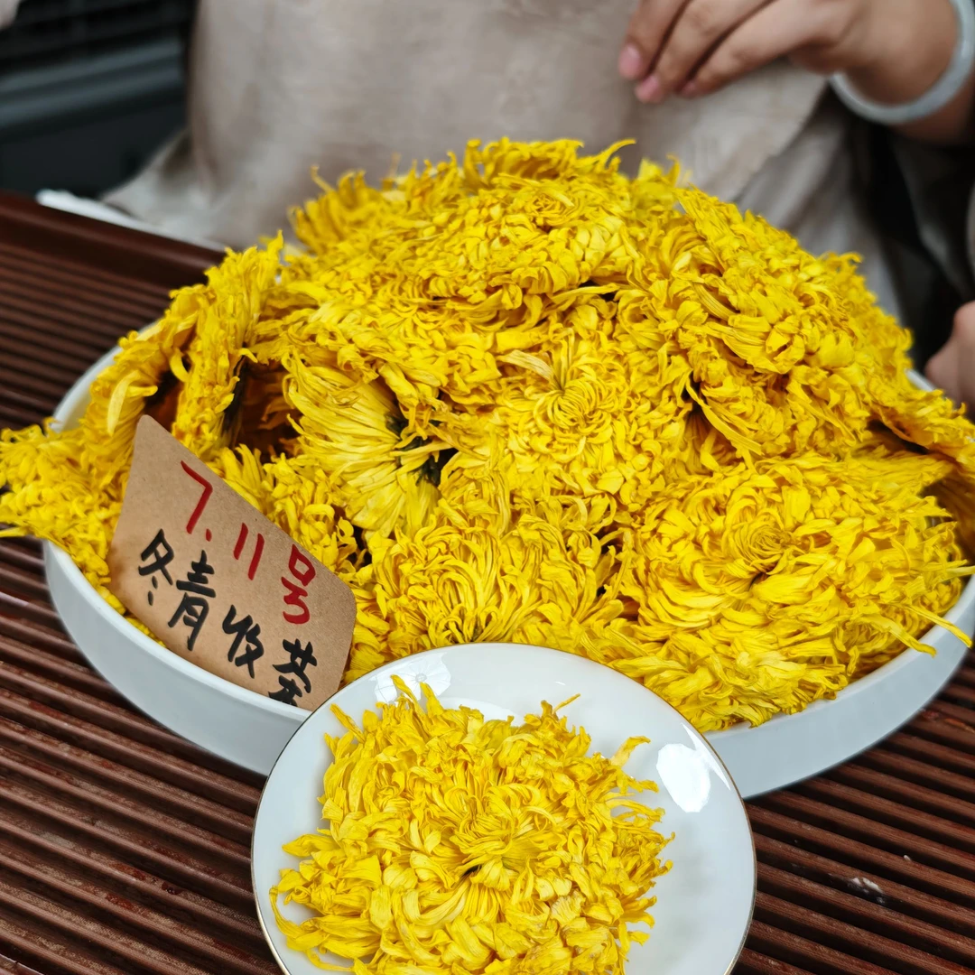 头采花王金丝皇菊 江西修水特大花 冬青收茶