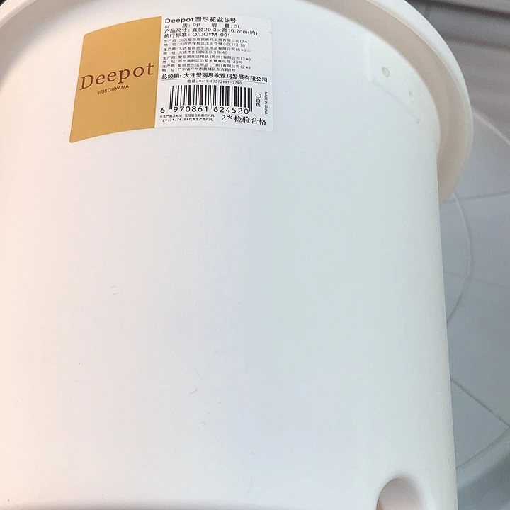 6号白色无托4个爱丽思