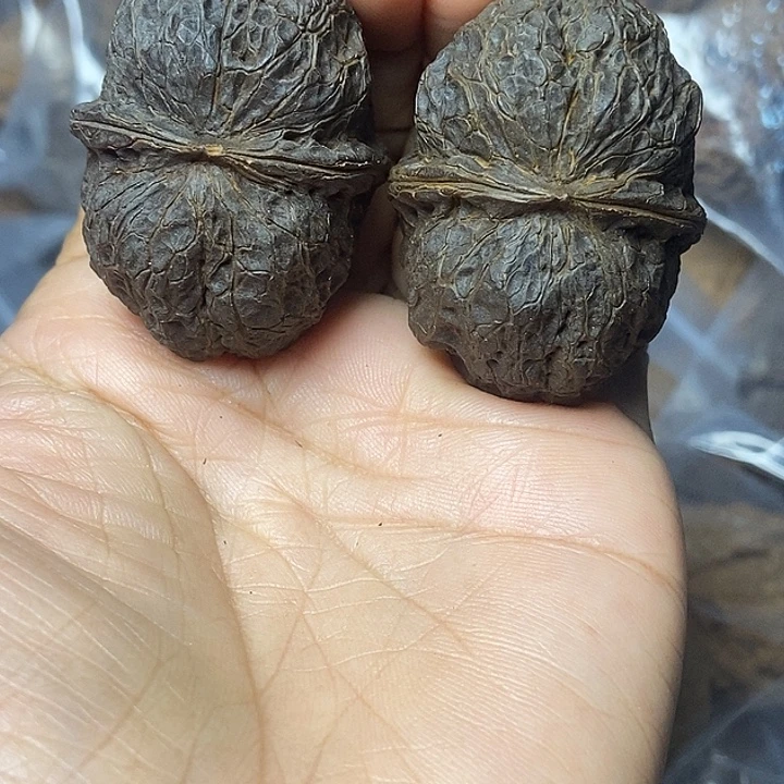 把件文玩核桃云南铁核桃基地24