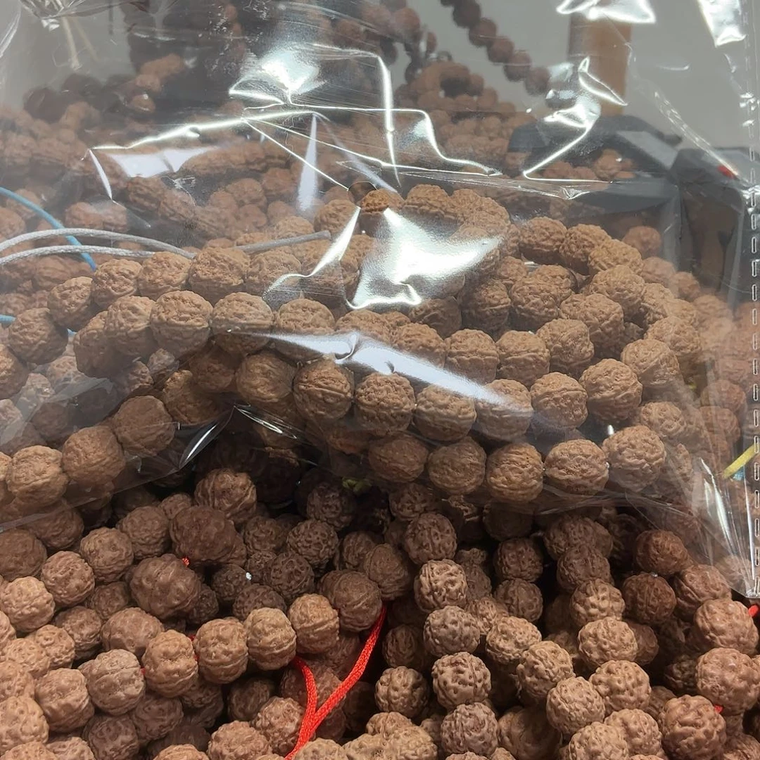 E***n金刚菩提吊坠一代盘龙，一条保手持