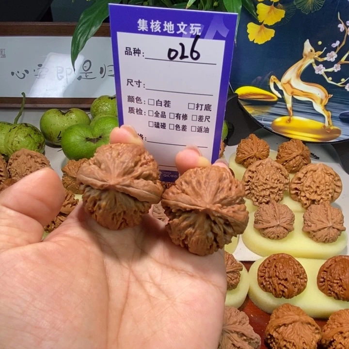 文玩核桃把件026号，38尺全品霸王龙