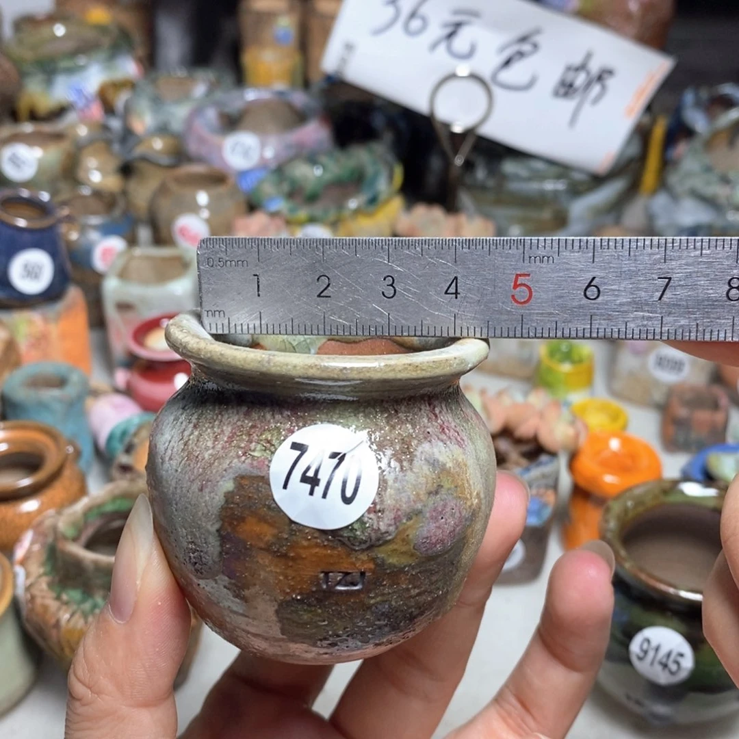 拍5送一个小礼物