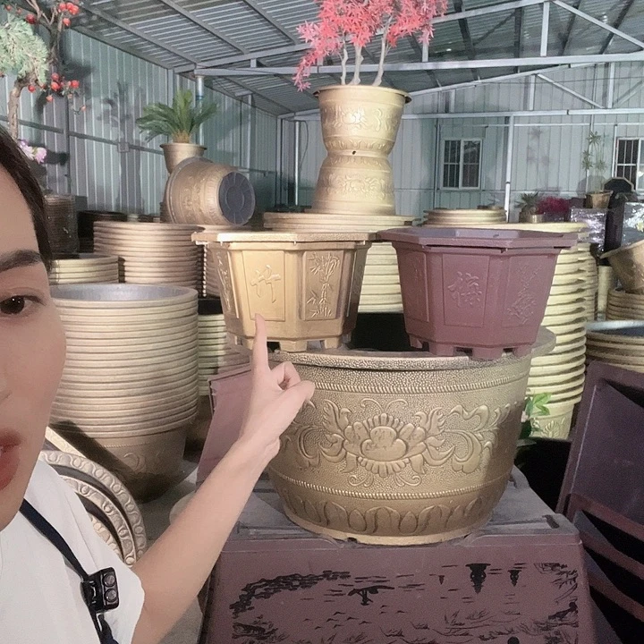 盆景5599885899889