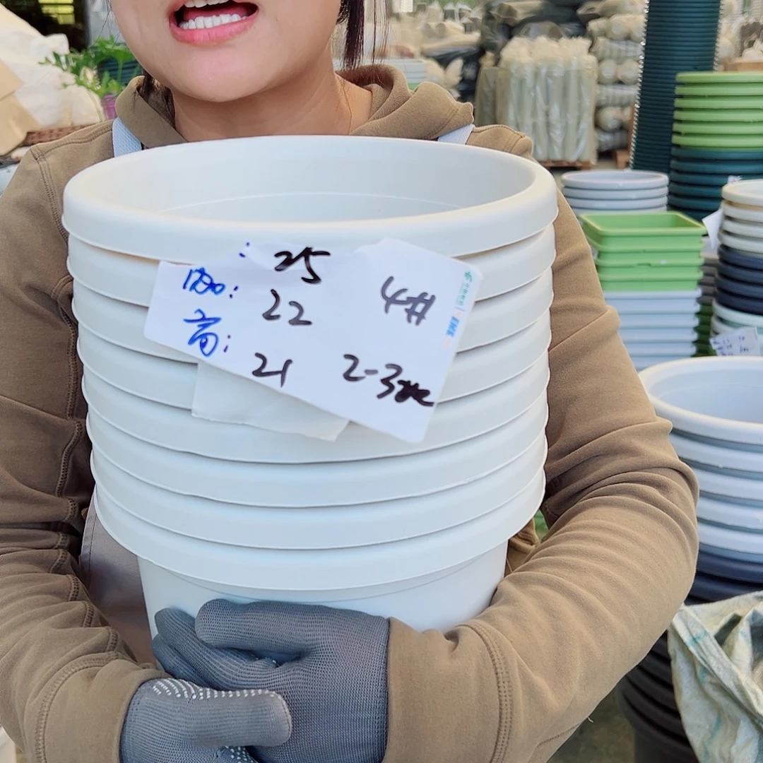 四季盆4#白色8个无托